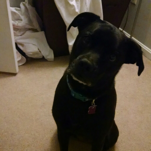 Profile Picture of Andrew Mccabe (@atm4399) on Poshmark