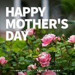 Profile Picture of Robert schmalor (@schmalor0567) on Instagram