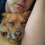 Profile Picture of todd martzall (@martzalltodd) on Instagram