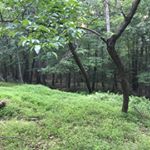 Profile Picture of Alexander Dahl (@dahl.outdoors) on Instagram