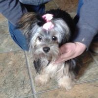 Profile Picture of Cindy Willette (@cindy-willette-2) on Quora