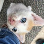 Profile Picture of Dwayne willis (@dwaynewillis_blessed) on Instagram