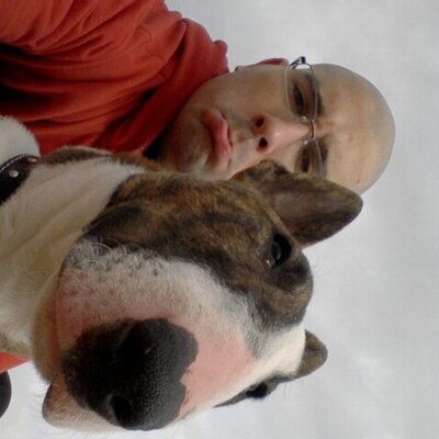 David Gonzalez Moren - Twitter Profile Picture of David Gonzalez Moren (@Davtrainer) on Twitter