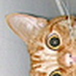 Profile Picture of Tonya Fowler (@a10ecgirl72) on Flickr