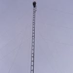 Profile Picture of Howard Herrington (@howardherrington) on Instagram