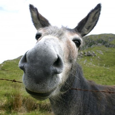 Profile Picture of Marc Greenwald (@@MarcGreenwald) on Twitter