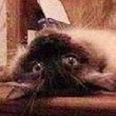 Profile Picture of Sheila Miles-Fast (@SheilaFast) on Twitter