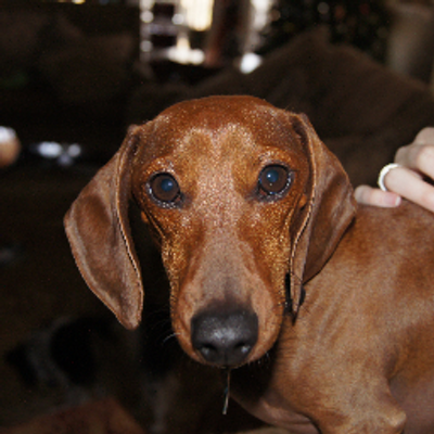 Profile Picture of Joe Gliebe (@joe_gliebe) on Twitter