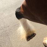 Profile Picture of Grant L. Johnson (@grant__john_78) on Instagram