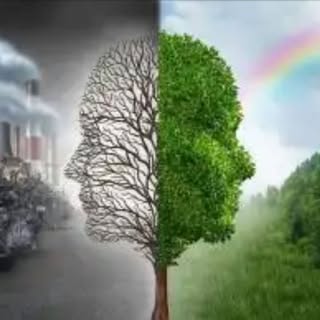 Profile Picture of Hoffman Hoffmann (@hoffmanhoffmann) on Instagram