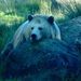 Profile Picture of Andy Piette (@andrewpiette) on Pinterest