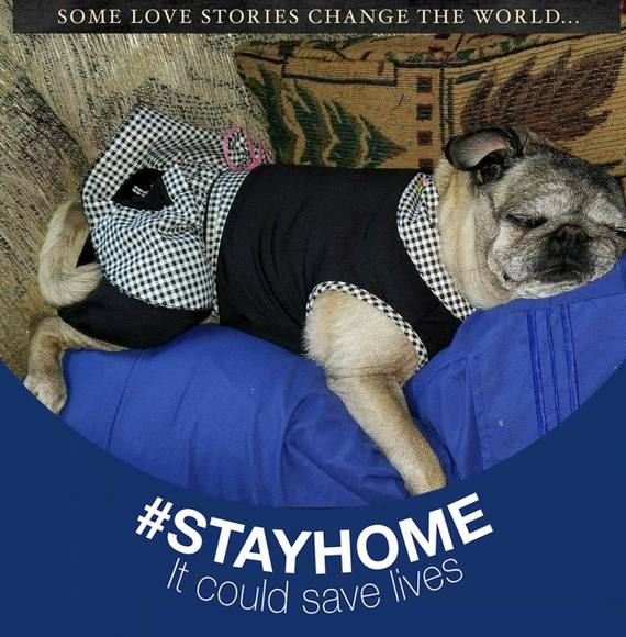 Profile Picture of Sharon Vorse (@sharrs) on Poshmark