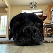 Profile Picture of Alix Allen (AliBubba) (@alixallen1931) on Youtube