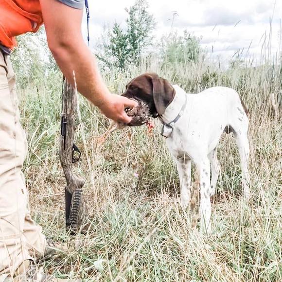 Profile Picture of Matt Horgas (@mwh5173) on Poshmark