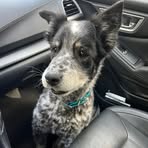 Profile Picture of Chad Garner (@Chad-Garner) on Facebook