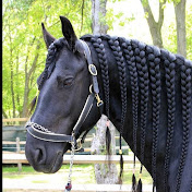 Profile Picture of Anya Cromie (@anyacromie653) on Youtube