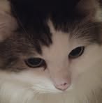 Profile Picture of Jimi Heikkinen (@Jimi-Heikkinen) on Facebook