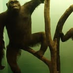 Profile Picture of James Hagerstrom (@james.hagerstrom) on Facebook