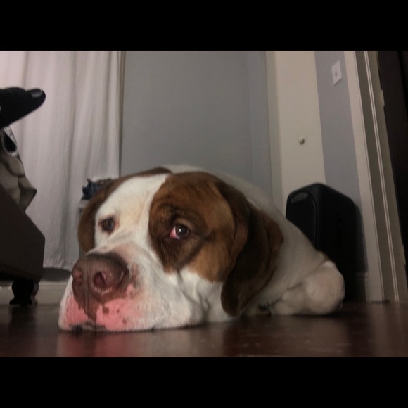 Profile Picture of Edward Rivera (@roxyrivera2016) on Poshmark