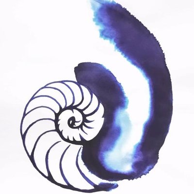 Profile Picture of Tamim Khan (@tamimkhan_) on Twitter