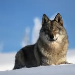 Profile Picture of Pierre Schmitt (@pierre.schmitt.1004) on Facebook