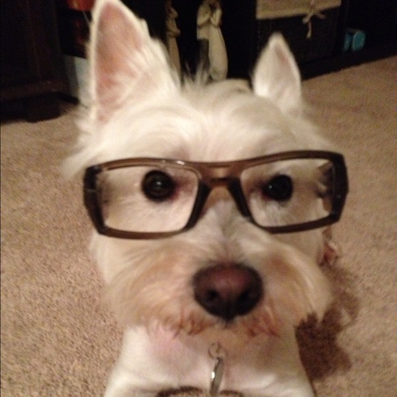 Profile Picture of Brittany Ykema (@britanne) on Poshmark