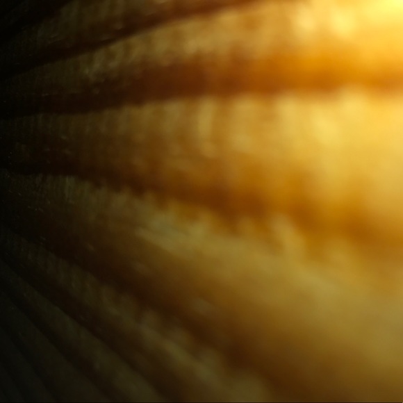 Profile Picture of James Vendetti (@jamesv16) on Poshmark