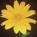 Profile Picture of Jonathan Reddy (@jonathan.reddy.5688) on Facebook