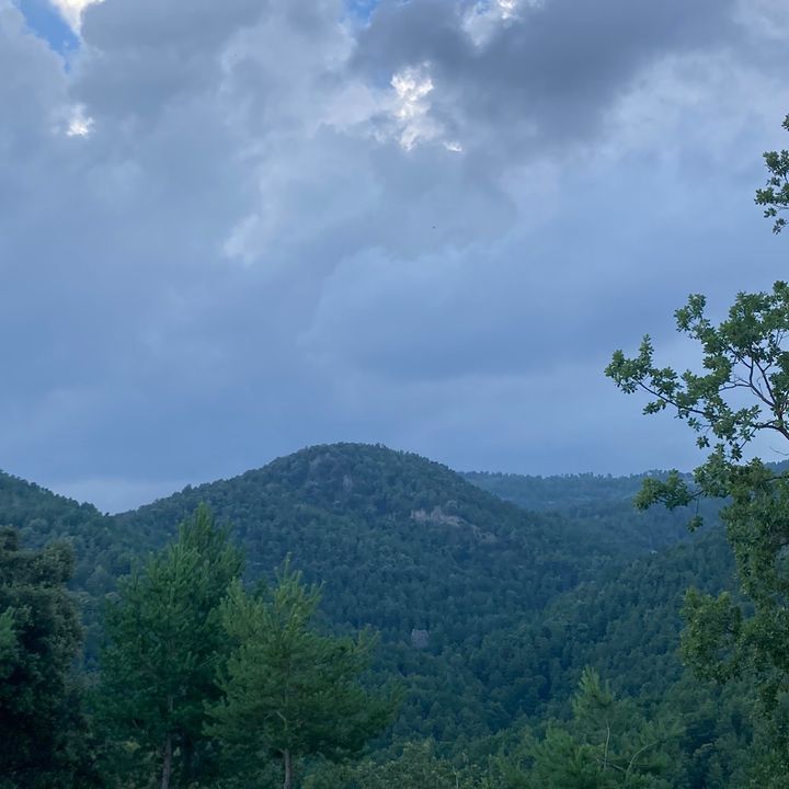 Profile Picture of Tonalpens (@tonalpens) on Tiktok