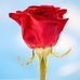 Profile Picture of Manjuvarghese (@manjuvarghese.manjuvarghese.1) on Facebook