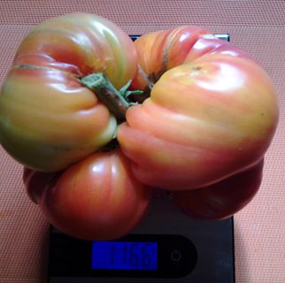 Profile Picture of Albert Carnevali (@albert.carnevali.16) on Facebook