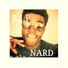 Profile Picture of Barry Gibson (@barrygibson127) on Twitter