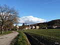 Profile Picture of Montfalconon Wikipedia