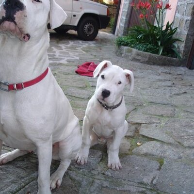 Profile Picture of Joseph Scholler (@josephscholler) on Twitter