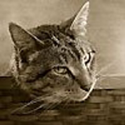 Profile Picture of Clare Mauro (@ClareMauro) on Twitter