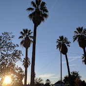 Profile Picture of Michael Sedler (@michaelsedler6524) on Youtube