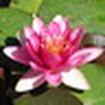 Profile Picture of Jose Mira (@pepeveo) on Flickr