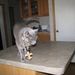 Profile Picture of Chad Schexnayder (@chad1738) on Pinterest
