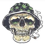 Profile Picture of Ted Schmidt (@dr.dingus) on Instagram