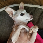 Profile Picture of Undeniablesales (@undeniablesales) on Flickr