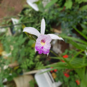 Profile Picture of Tri Vu (@trivu6478) on Youtube