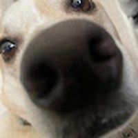 Profile Picture of Nora Lucey (@nora-lucey-1) on Quora