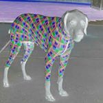 Profile Picture of Pieter Badenhorst (@pieter.badenhorst007) on Instagram