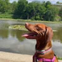 Profile Picture of Julian Cupp (@julian-cupp-1) on Quora