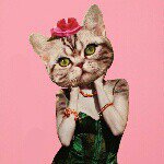 Profile Picture of 谢健琳 (@kellylintse) on Instagram
