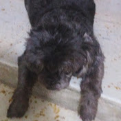 Profile Picture of Julia Hurtado (@juliahurtado5893) on Youtube