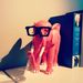 Profile Picture of Steve Plummer (@sjpsydney) on Pinterest