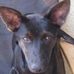 Profile Picture of Roger Verdugo (@roger.verdugo.56) on Facebook