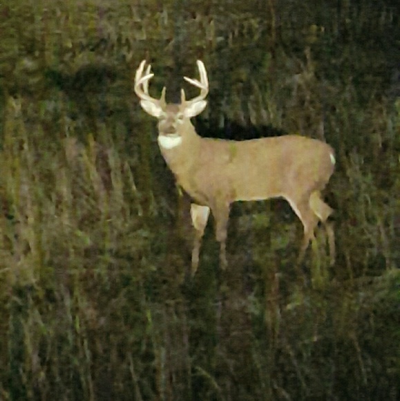 Profile Picture of Scott Mckibbin (@scott4333333) on Poshmark