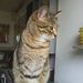 Profile Picture of Berta Casanovas Nicolas (@bcasanovasnicol) on Pinterest